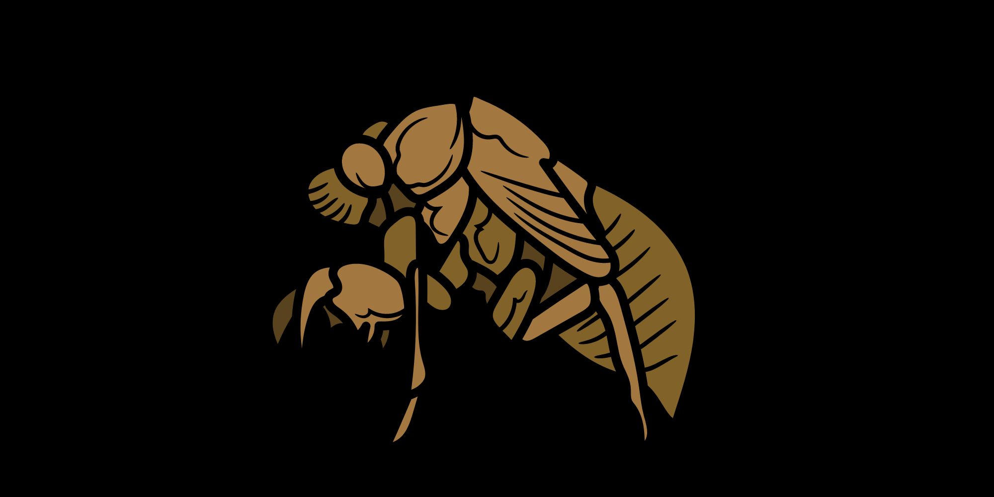 love for cicadas